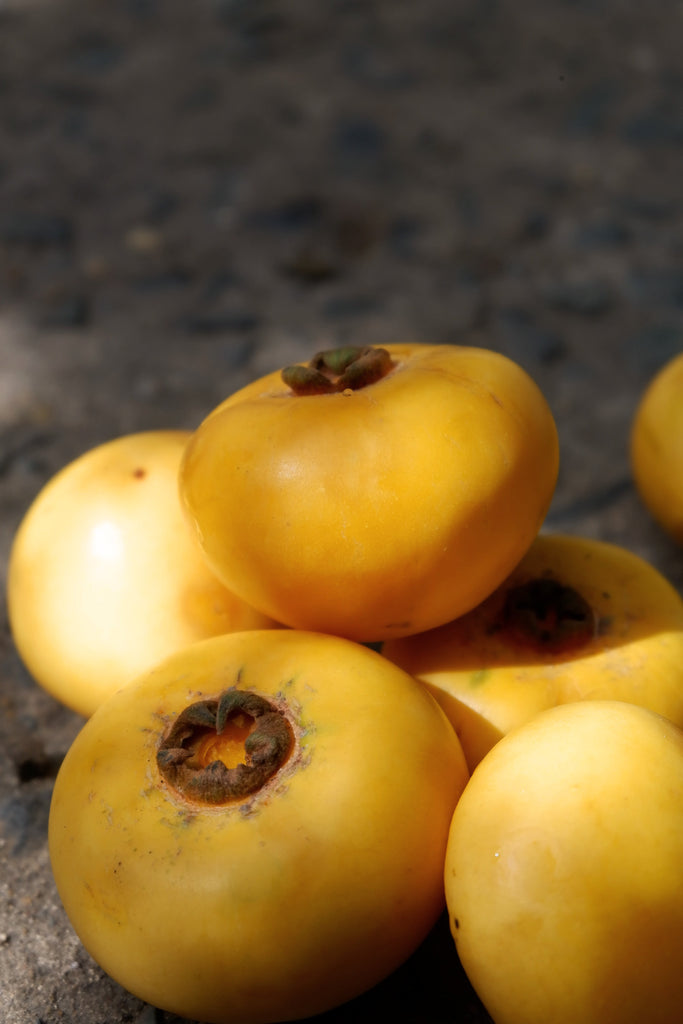 Quả Thị (gold apple), reimagined at Spice Canvas